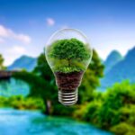 Eco-Friendly Grocery Shopping Tips and Tools