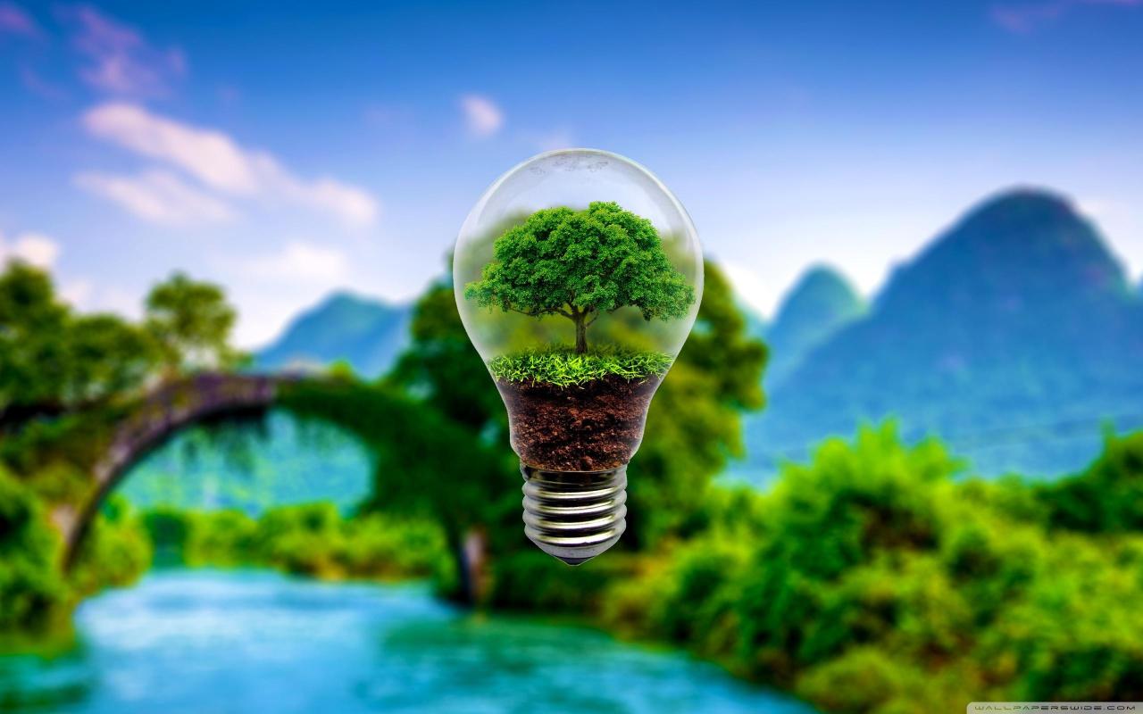 Eco Wallpapers - Top Free Eco Backgrounds - WallpaperAccess Eco-Friendly Grocery Shopping Tips and Tools