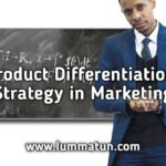 The Role of Product Differentiation and Innovation in Online Shoe Retailing