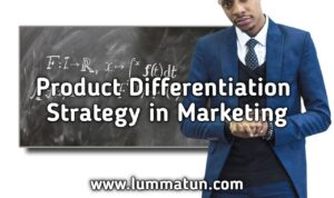 The Role of Product Differentiation and Innovation in Online Shoe Retailing