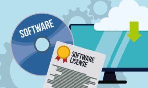 Buying Software Licenses in Bulk