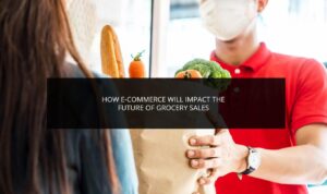 What Influences Online Grocery Purchase Decisions