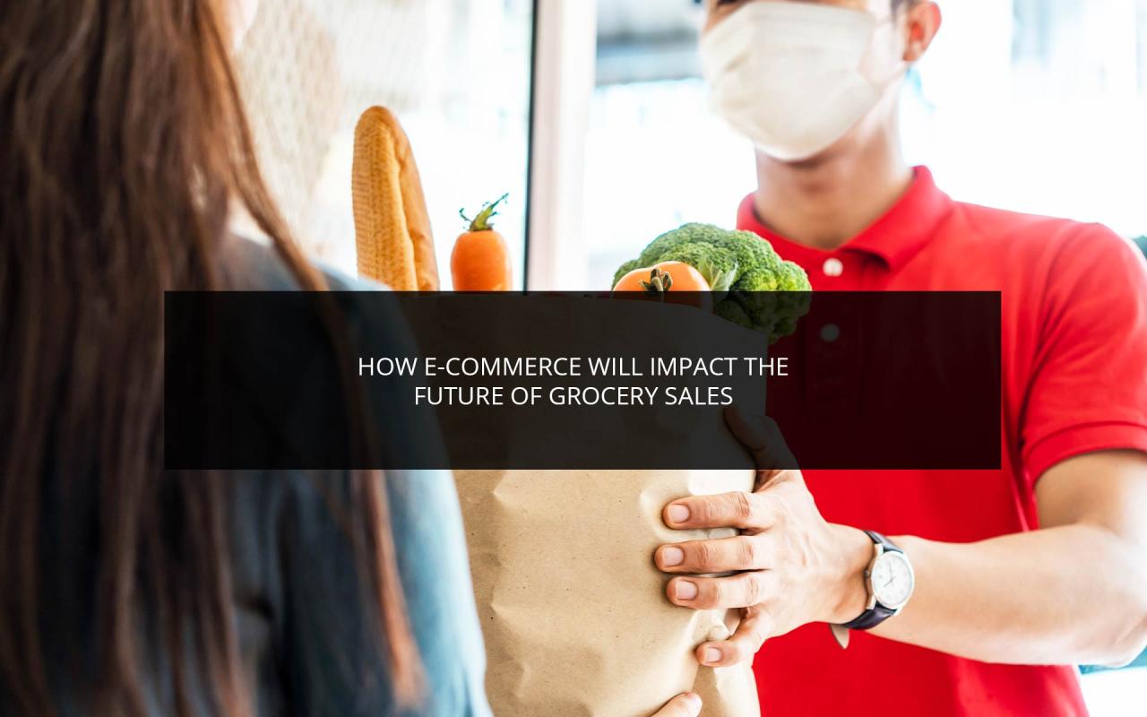What Influences Online Grocery Purchase Decisions