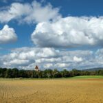 How to Sell Land Fast Without an Agent